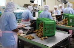 株式会社関根商店